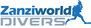 logo-1